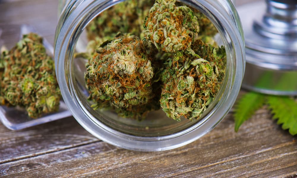 Things You Should Know Before You Order Your Online Medical Marijuana Card